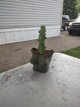 Leta review photo