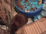 Wendy C. review photo
