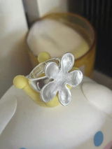 CINDY ERNAT review photo