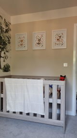Aurelia review photo