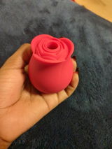 Shai C. review photo
