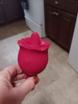 VortexDreamer review photo