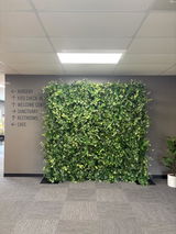 Elizabeth H. review photo