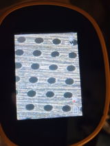 Zero Tilt Gardens review photo
