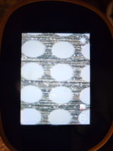 Zero Tilt Gardens review photo