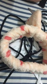 chimsngu review photo