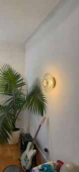 Dempsey Walkley review photo