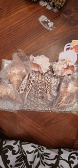 J.M. review photo