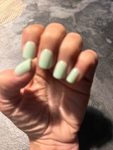 Manue C. review photo