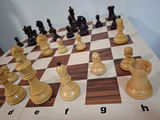Reenan review photo