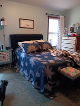 Lynn Tinkham review photo