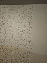 Patricia Kalhar review photo