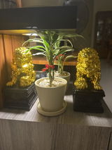 April review photo