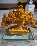 Houdini Royo review photo