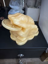 A.L. review photo