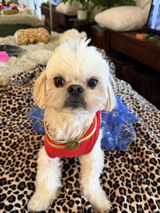 Isadora, pictured in Deborah’s review