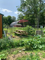 50% Sunblock Black Garden Shade Cloth Mesh Tarp