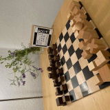 ILIA SHAGALOV review photo