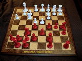 Robert Rasmussen review photo