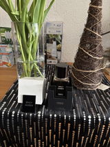 Mario Rehahn review photo