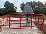 Dan Szafranski review photo