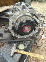 José Posadas review photo