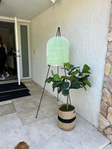 Leta review photo