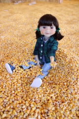 Tracy R. review photo