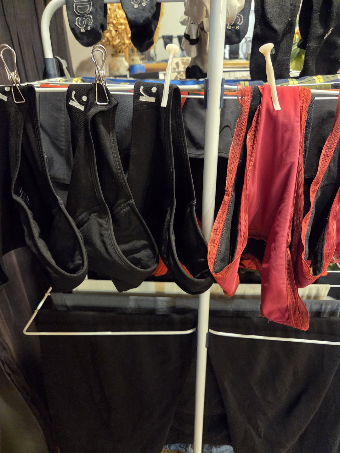 Sarah's Rudie Classic Brief review