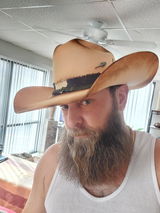 Ryan Tannehill review photo