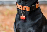 Lydia Martino review photo