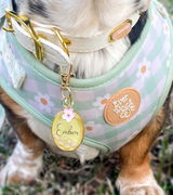 Kaitlyn review photo