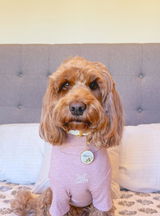 Rayna review photo