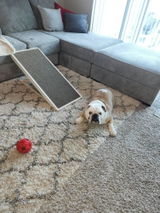 Etsy customer review photo