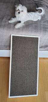 Etsy customer review photo