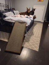 Alexa Prime review photo