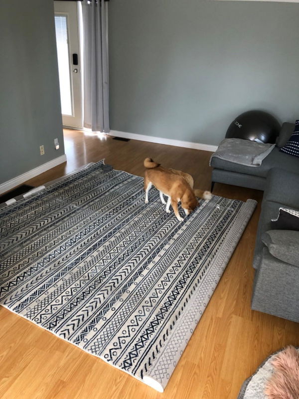 Photo from Jennifer’s home