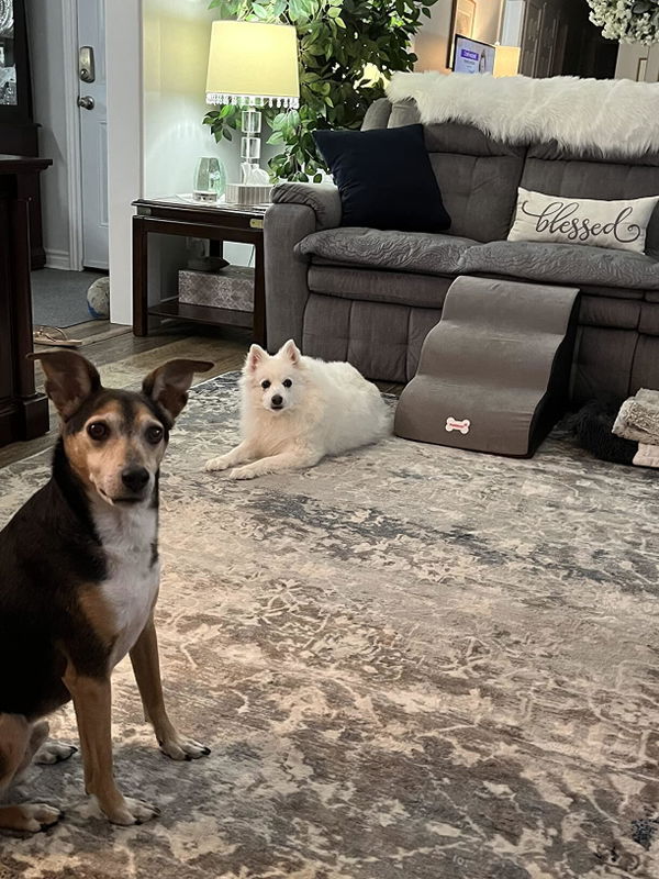 Photo from Angelyn C.’s home