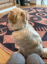 Lilah review photo
