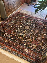 Jane C. review photo