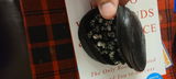 David H. review photo