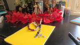 Paloma S. review photo