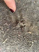 Anonymous review photo