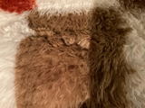 Andy M* review photo