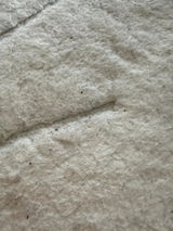 Z. review photo