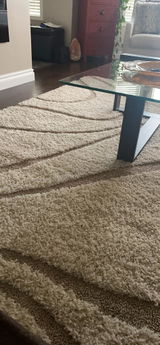 Rugsco Customer review photo
