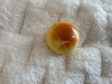 .. review photo