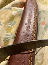 Andrew H review photo