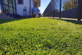 Petre review photo