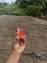 Anubha srivastava review photo